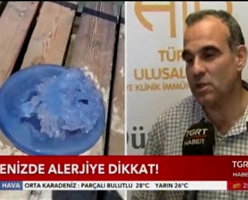 deniz alerjisi