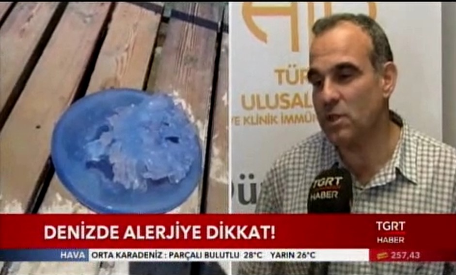 deniz alerjisi