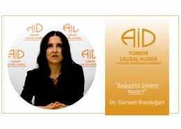 Dr. Günseli Bozdoğan