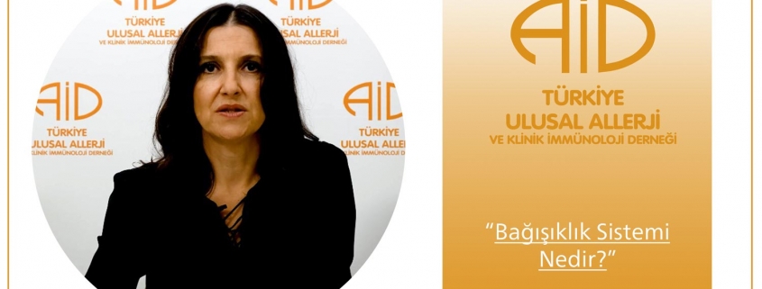 Dr. Günseli Bozdoğan