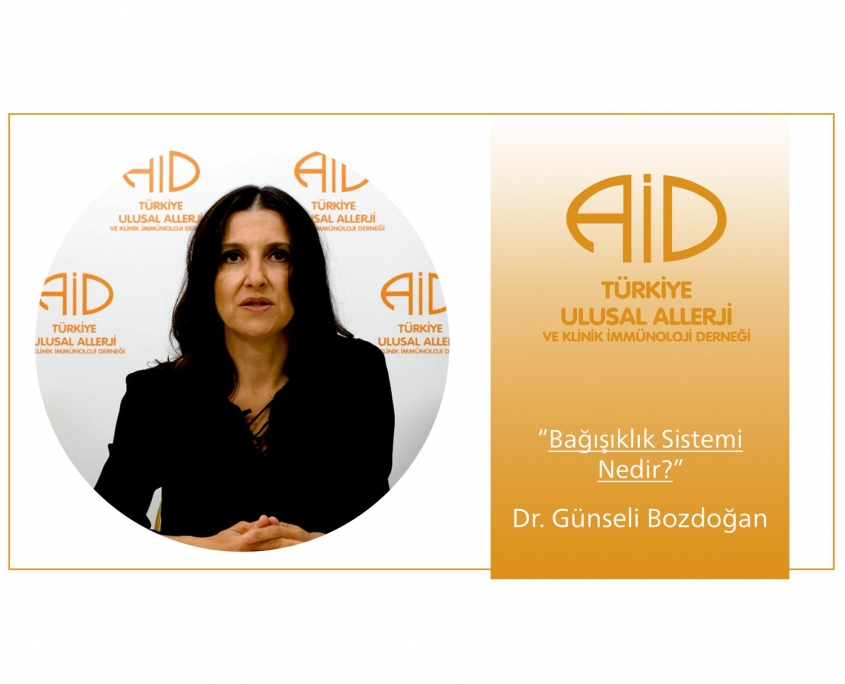 Dr. Günseli Bozdoğan