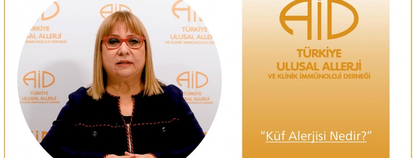 küf alerjisi - Dr. emine ece özdoğru