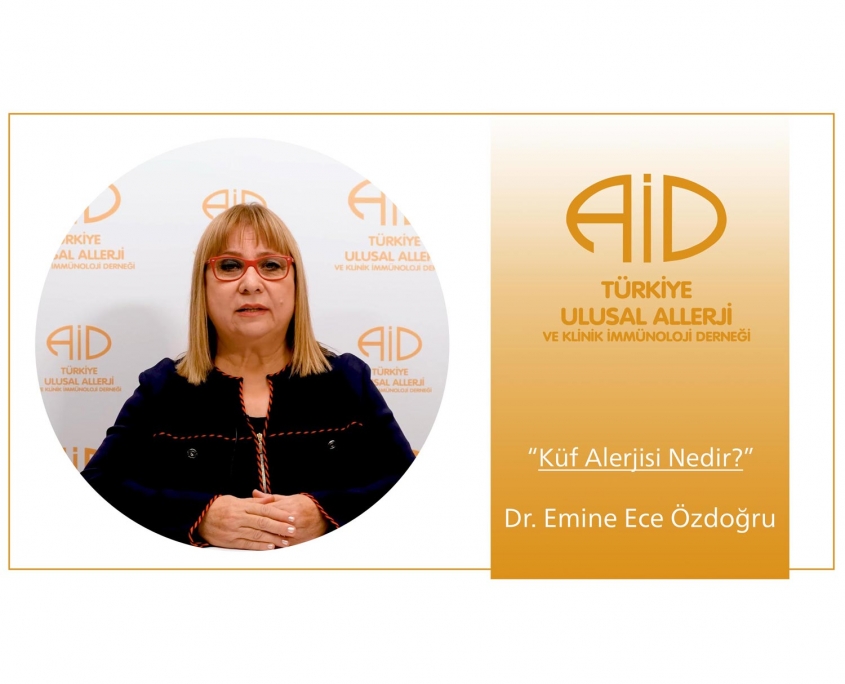 küf alerjisi - Dr. emine ece özdoğru