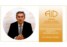 Dr. Ahmet Türkeli