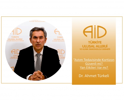 Dr. Ahmet Türkeli